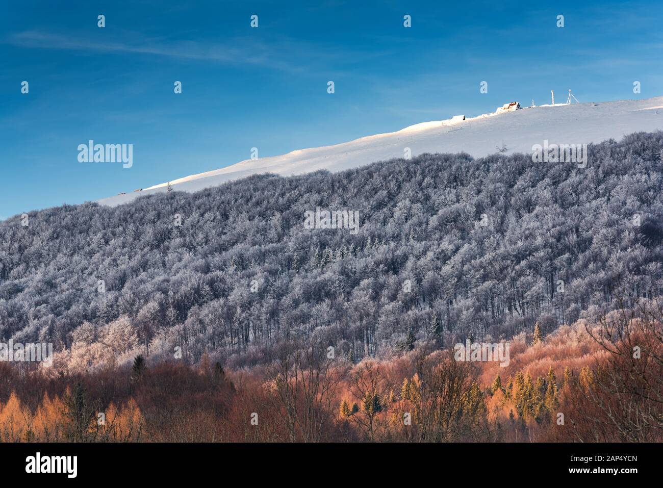 Rifugio e riparo in legno capanna ' Chatka Puchatka ' in Bieszczady Carpazi alla stagione invernale. Foto Stock