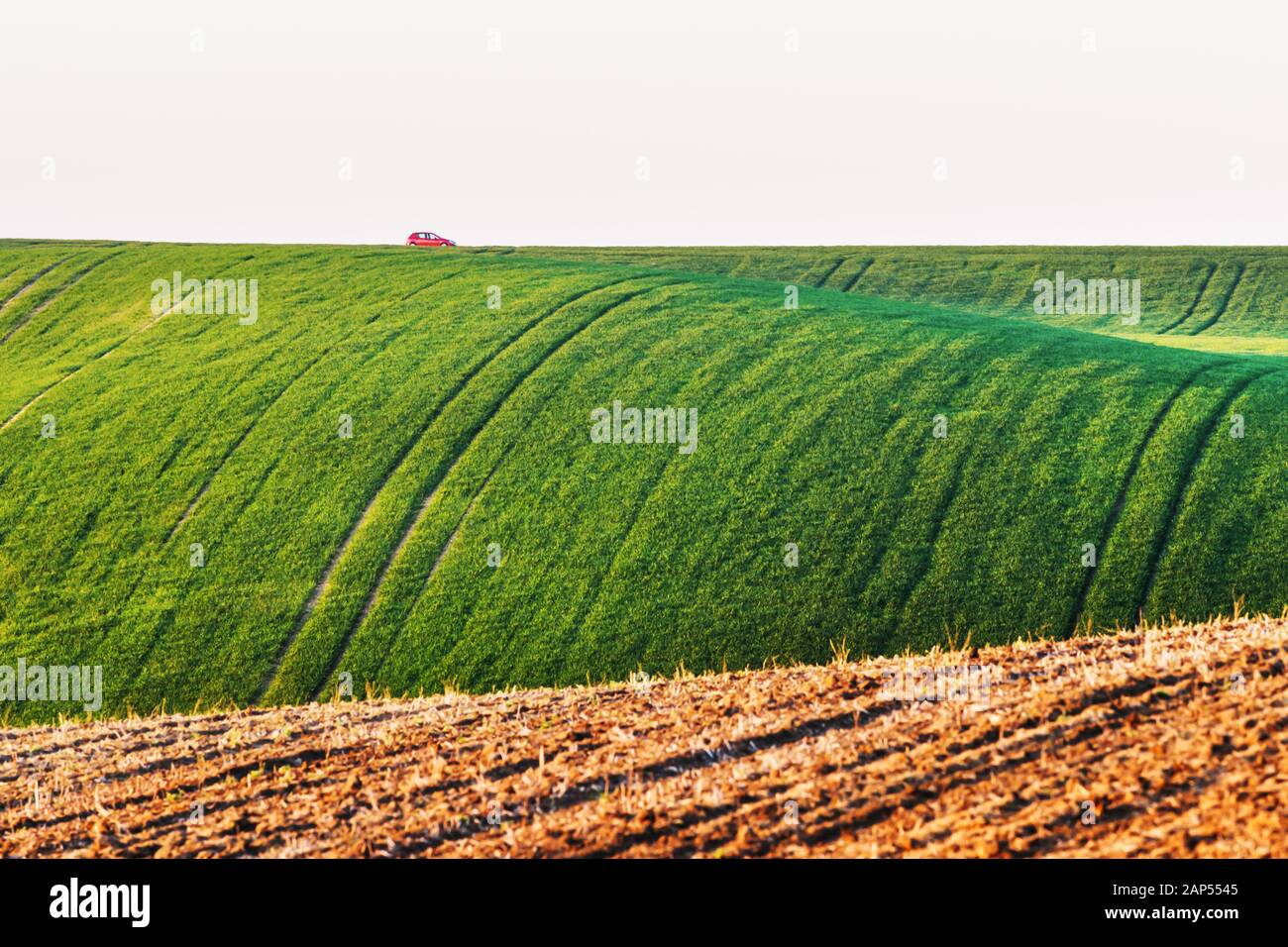 Paesaggio rurale con auto e campi agricoli sulle colline di primavera in Moravia del sud regione, Repubblica Ceca Foto Stock