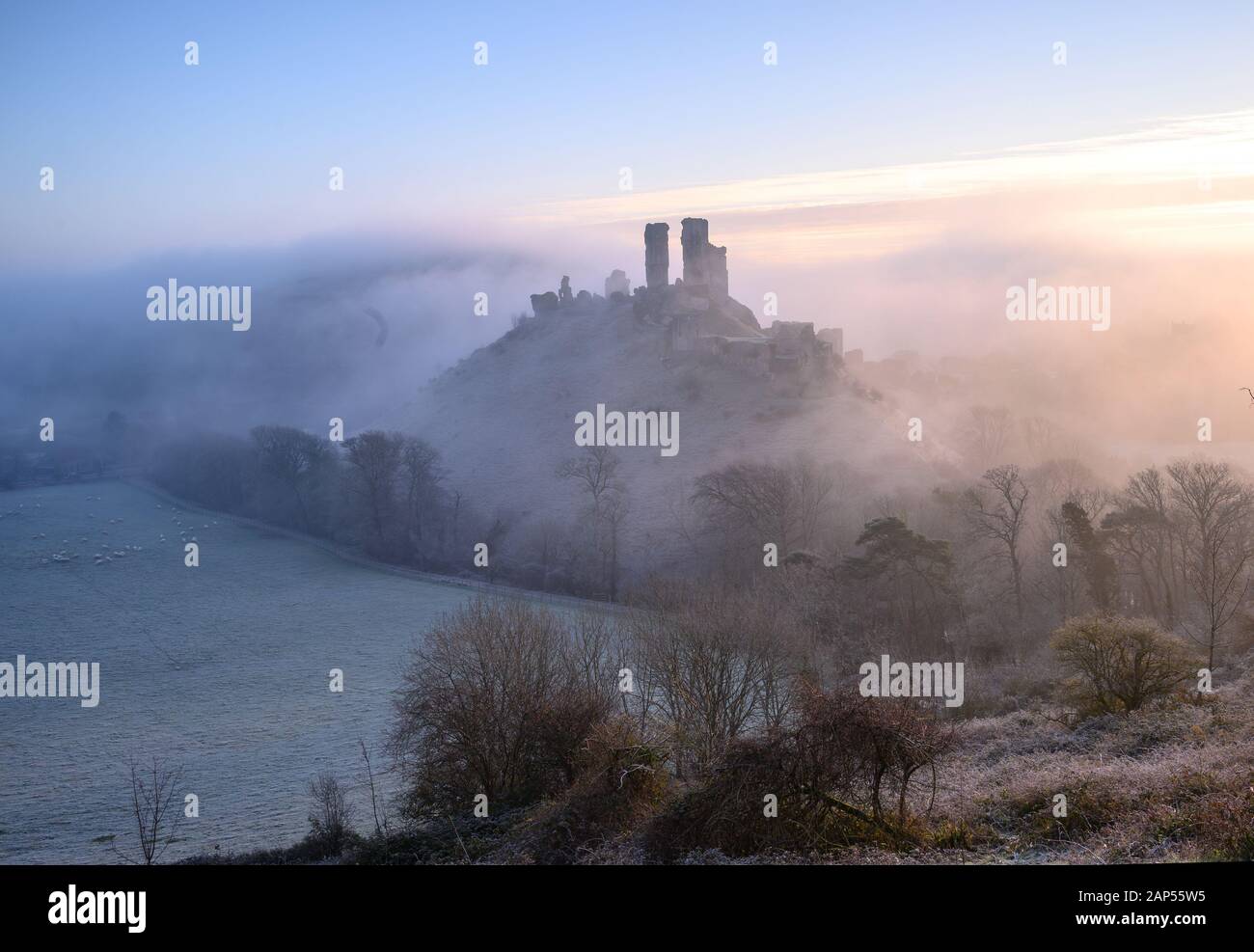 Corfe Castle, Dorset, Regno Unito. Xxi gen, 2020. Regno Unito: Meteo iconici rovine di Corfe Castle emergere dalla nebbia in un terribilmente freddo e gelido inverno di mattina. Credito: Celia McMahon/Alamy Live News Foto Stock