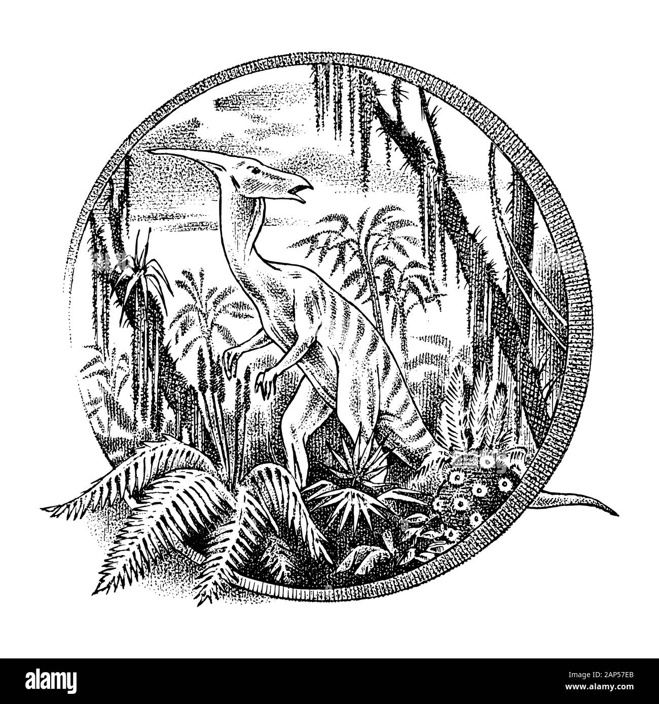 Vintage paesaggio con un dinosauro nella foresta pluviale. Vecchio modello retrò per logo o etichetta. Disegnata a mano inciso schizzo in bianco e nero. Illustrazione Vettoriale Illustrazione Vettoriale