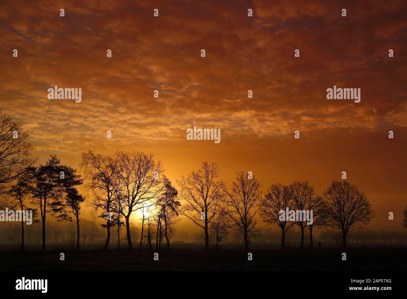 Bright Red Sunrise a Diessen, Paesi Bassi con Tree Silhouette II Foto Stock