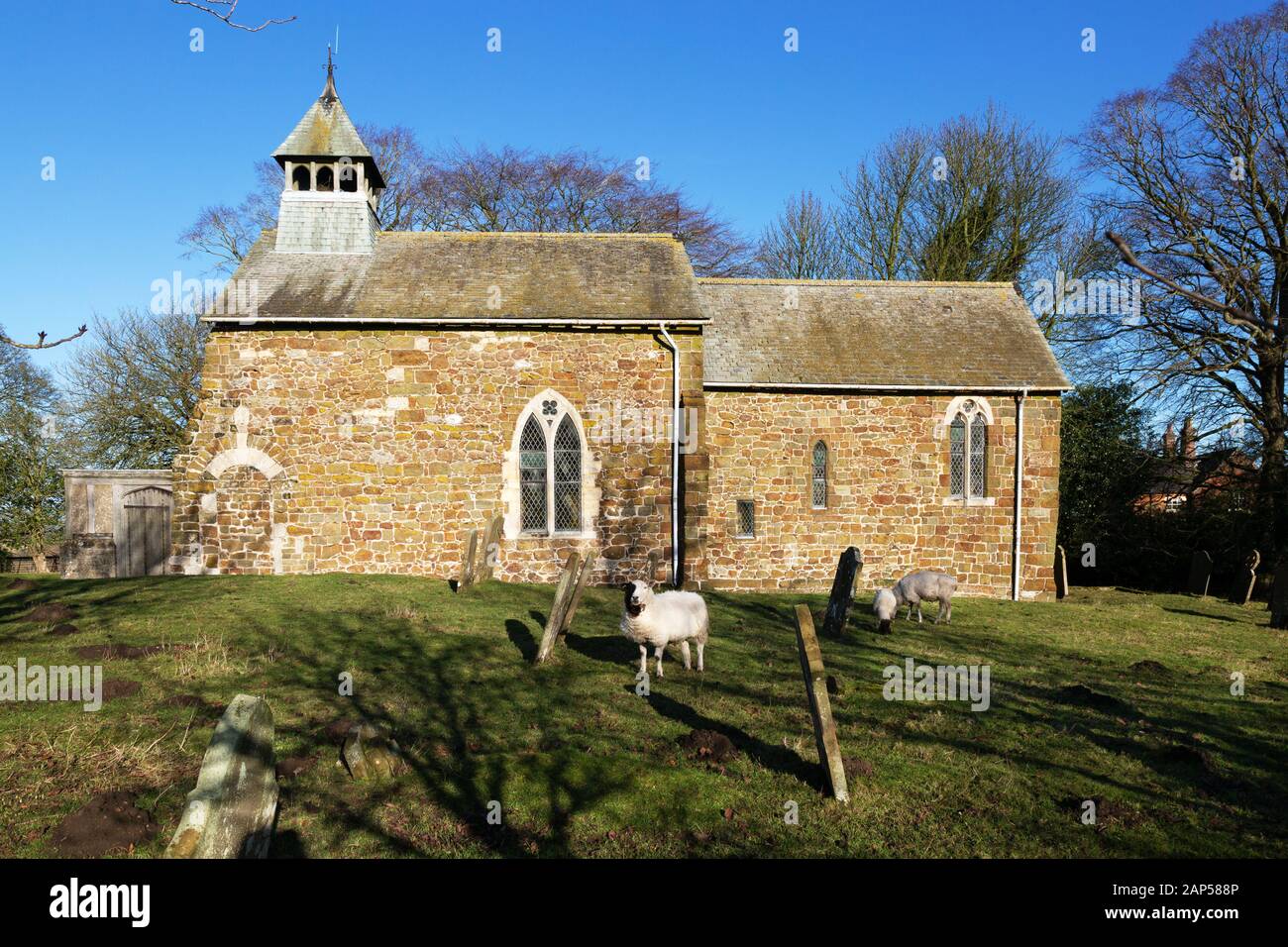 Antiche chiese inglesi; St Peters Church, Lusby Lincolnshire, una chiesa normanna del 11th secolo con pecore che pascolano nel cortile, Lusby, Lincolnshire UK Foto Stock