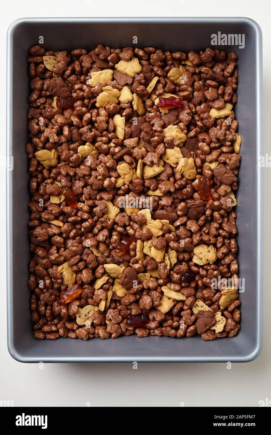 Cereali coniglietti di cacao biologici Foto Stock