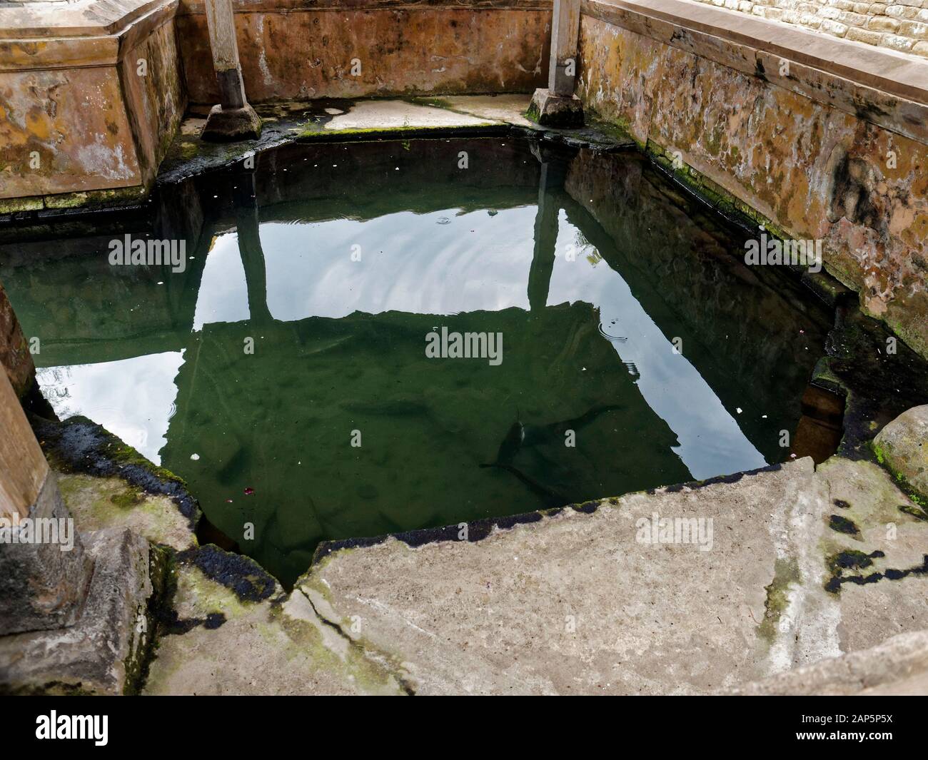 Pesce Stagno dentro la grande moschea o masjid agung in kotagede Yogyakarta appena accanto al re la tomba del complesso del cimitero Foto Stock