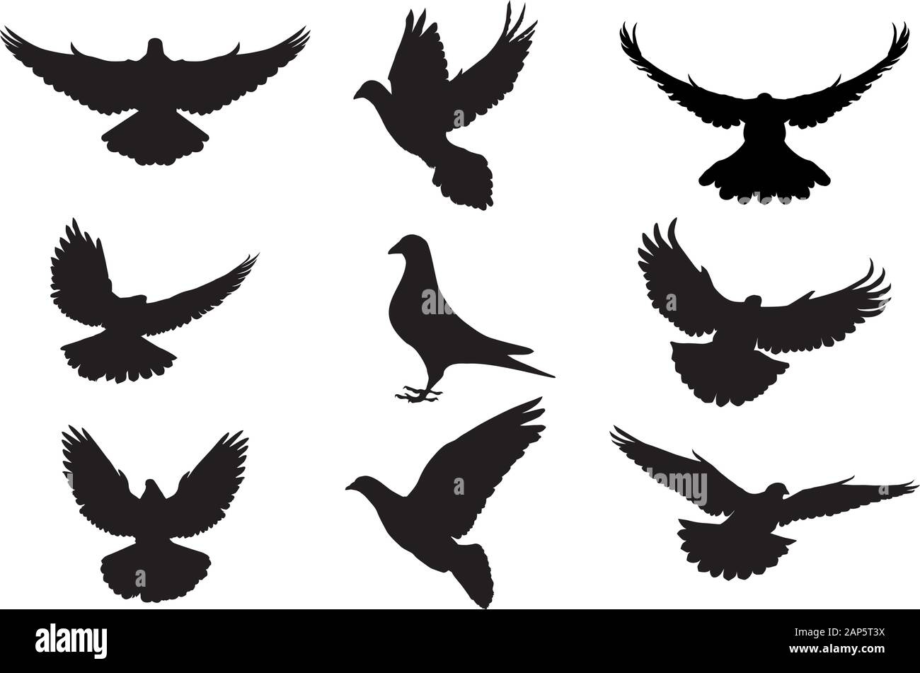 Silhouette di Pigeon isolati su sfondo bianco Illustrazione Vettoriale