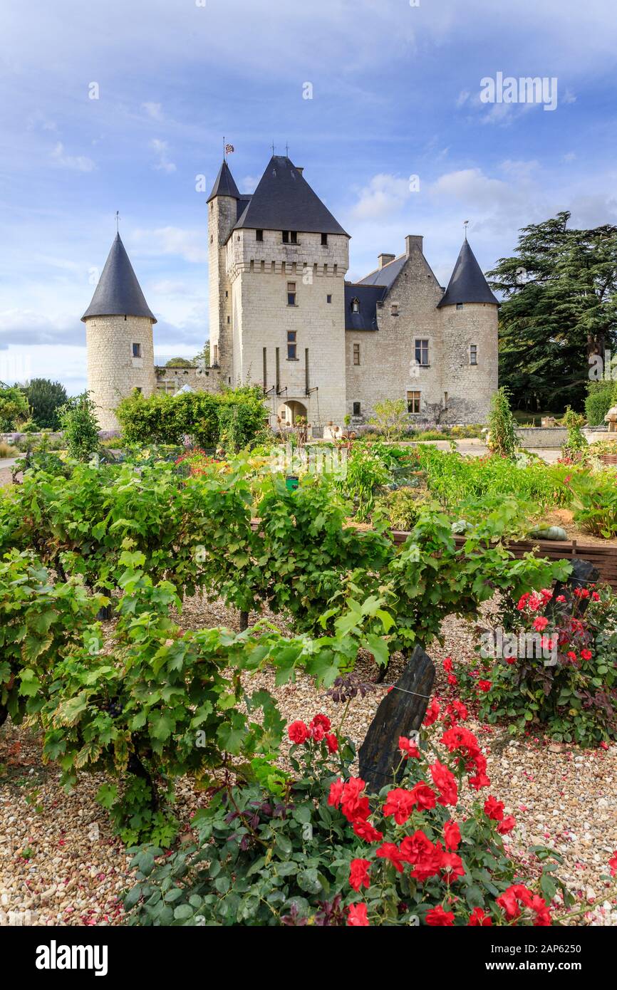 Francia, Indre et Loire, Loire Anjou Touraine Parco Naturale Regionale, Lemere, Chateau du Rivau giardini, il Potager de Gargantua, viti e rose in somma Foto Stock