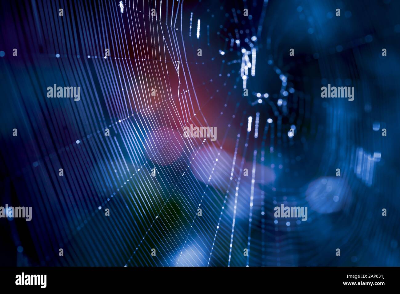 Design bellezza spider web spiderweb blu sfondo macro tecnologia ragnatela hacker - immagine di stock Foto Stock