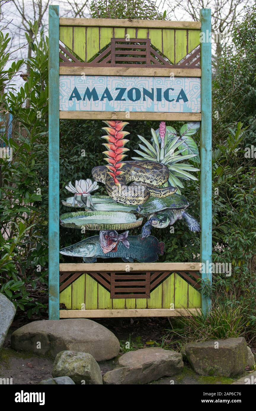 Amazonica segno nello zoo di Rotterdam Diergaarde Blijdorp Foto Stock