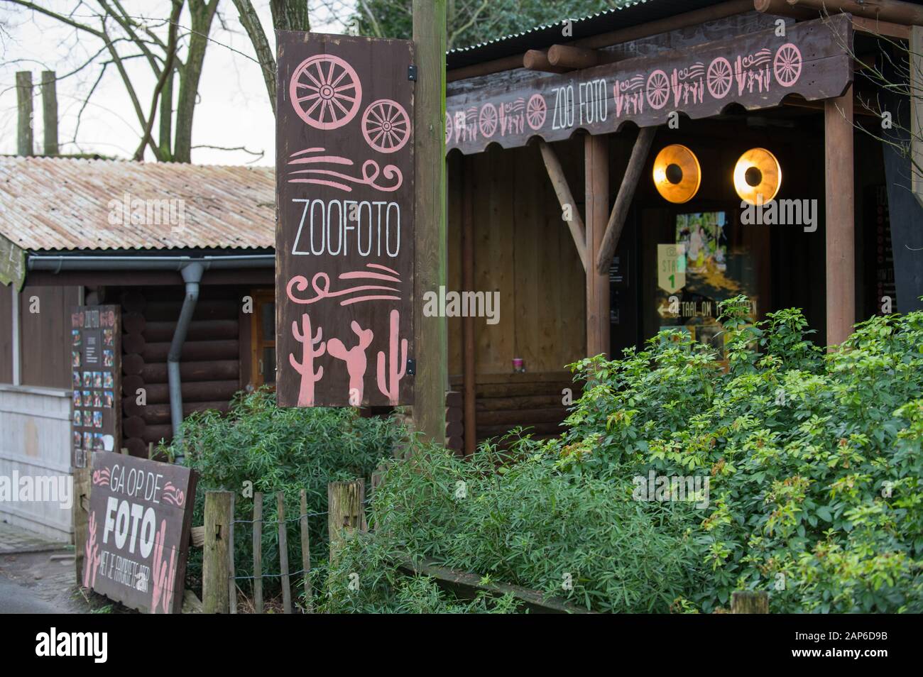 Servizio fotografico Zoofoto allo zoo Diergaarde Blijdorp di Rotterdam, Paesi Bassi Foto Stock
