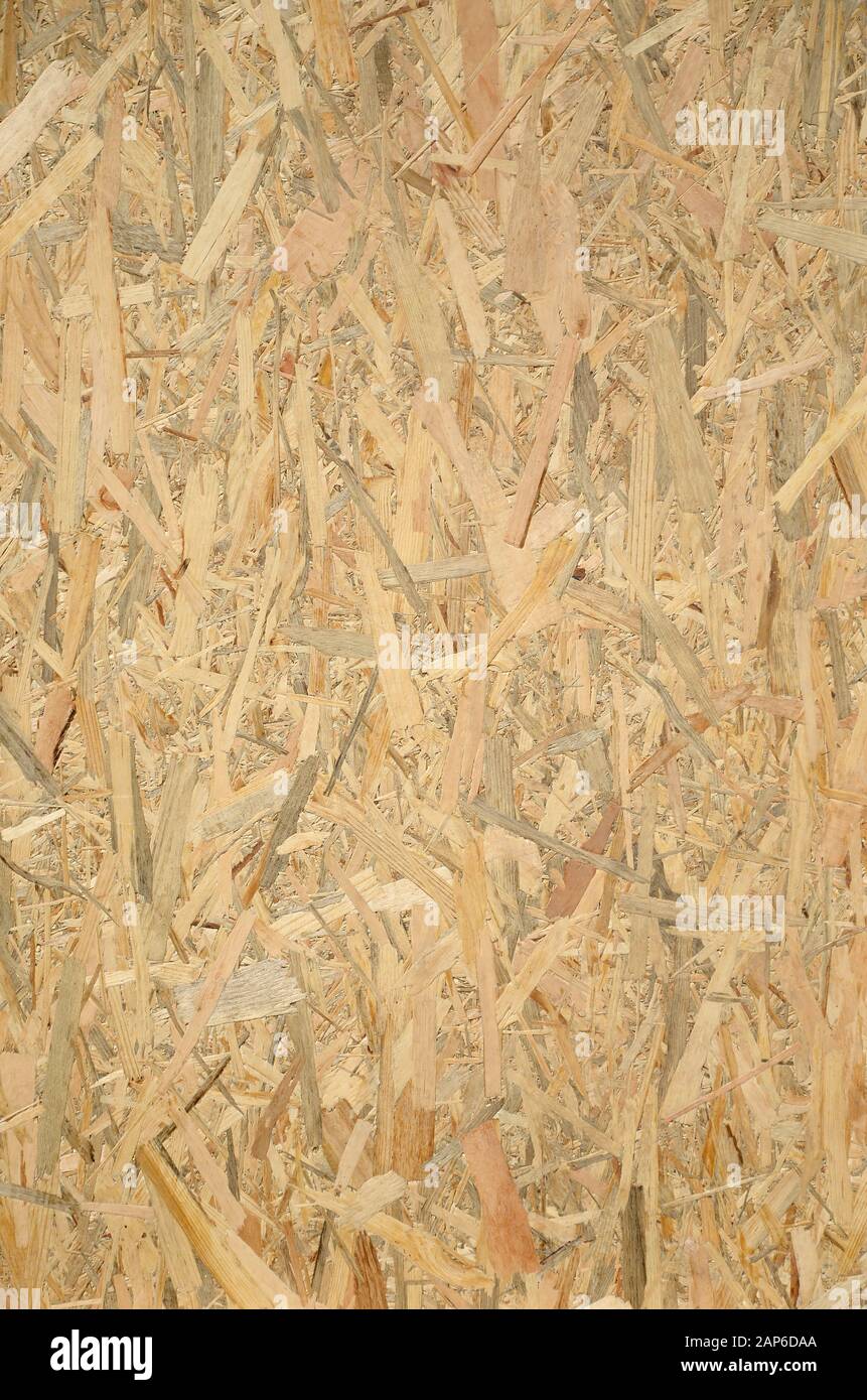 Sfondo in legno compensato pressato. Texture verticale del pannello a trefoli orientato primo piano Foto Stock