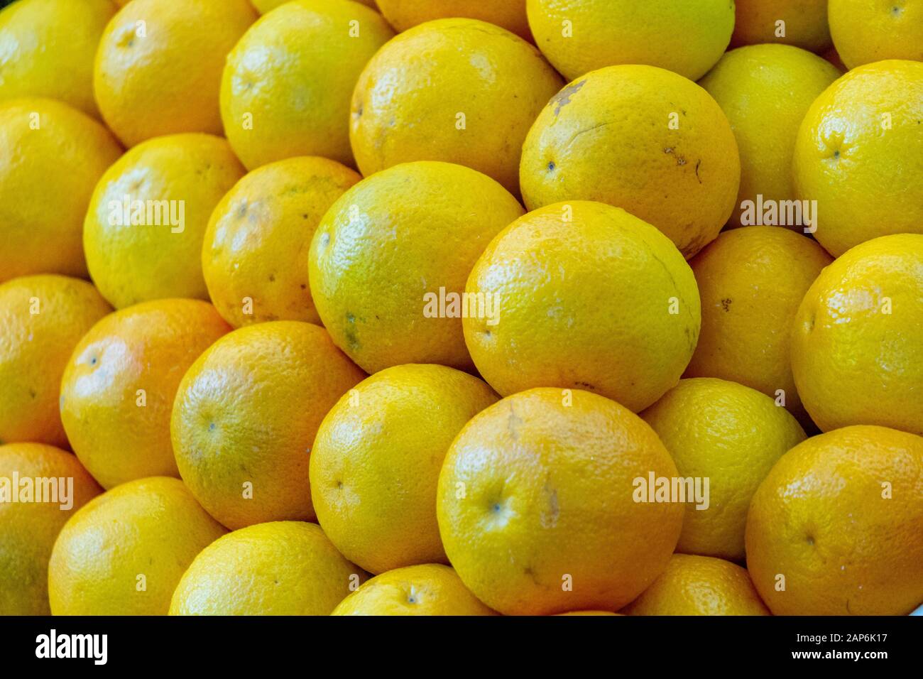 Macro foto agrumi limoni. Foto stock di frutta gialla al limone Foto Stock