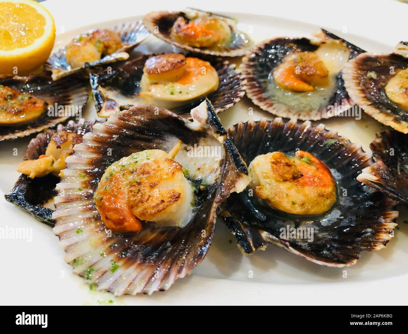 Colorfull Scallops alla griglia con erbe e aglio su un piatto bianco Foto Stock
