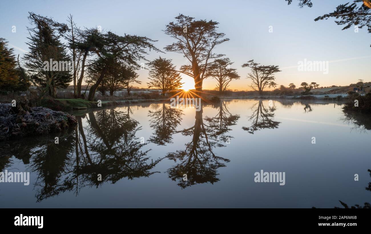 Sunrise Tree Reflections At Fishing Pond Foto Stock