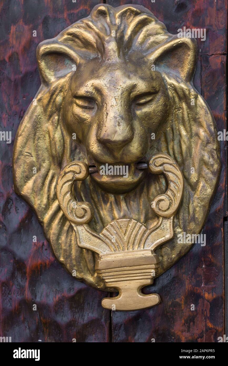 Pomello della portiera Vintage Copper Lion Foto Stock