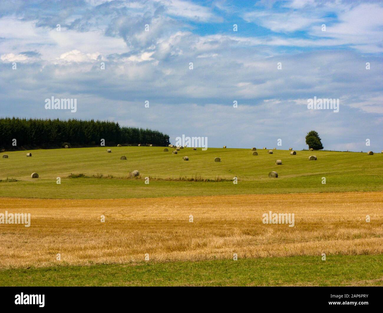 I rotoli di fieno a prato in Semois, Ardennen, Belgio Foto Stock