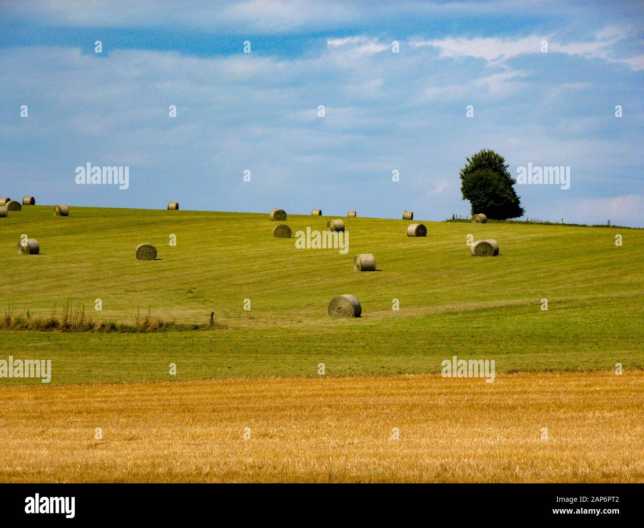 I rotoli di fieno a prato in Semois, Ardennen, Belgio Foto Stock
