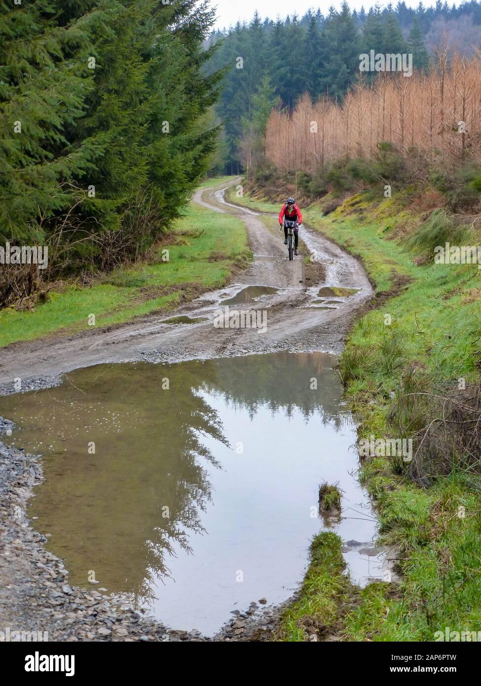 Mountainbiker in bicicletta in colline di Ardennen, Belgio Foto Stock