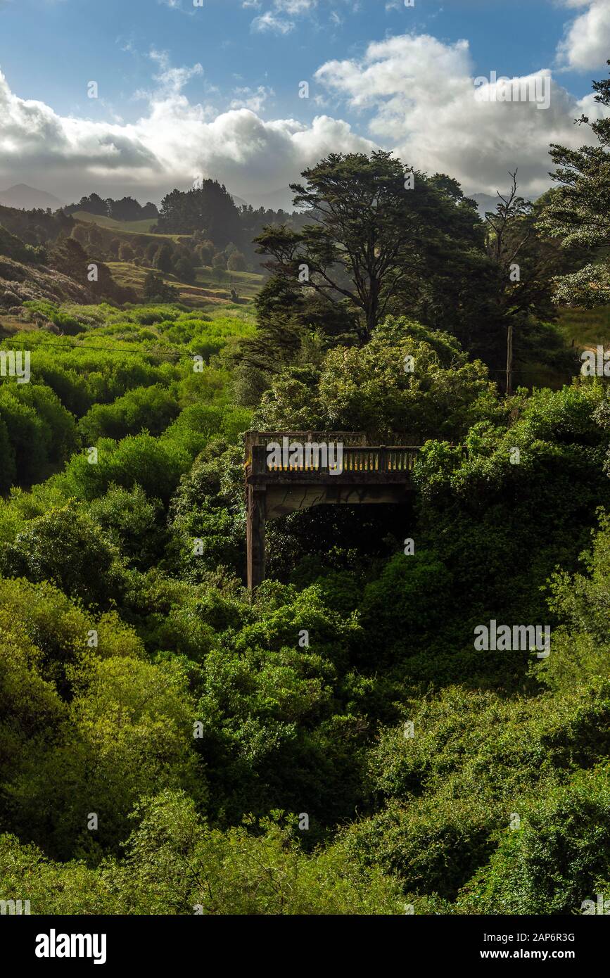 Decadimento rurale. Un'auto abbandonata e arrugginente in erba lunga con fogliame verde dietro. Foto Stock