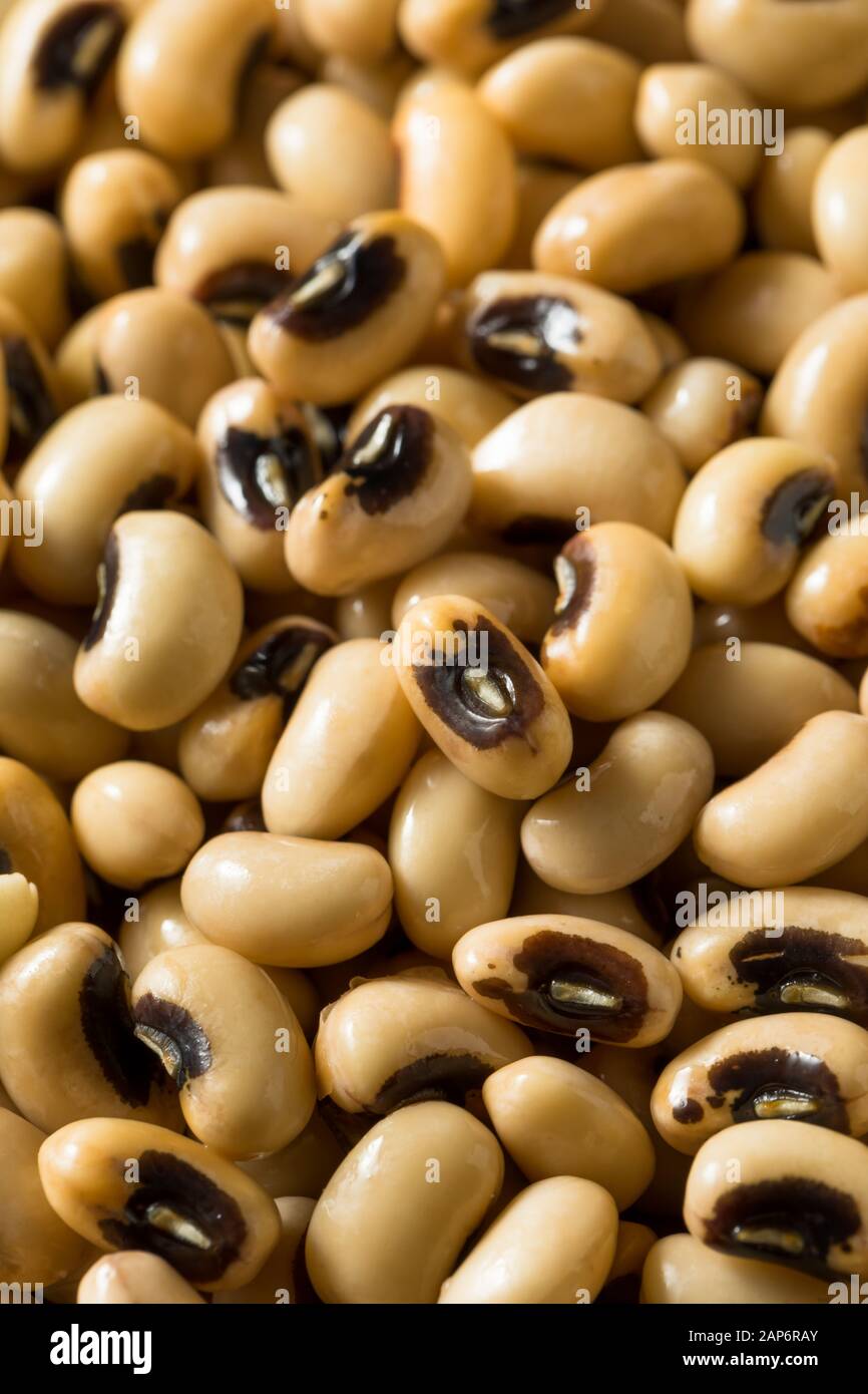 Materie organiche Black Eyed Peas in una ciotola Foto Stock