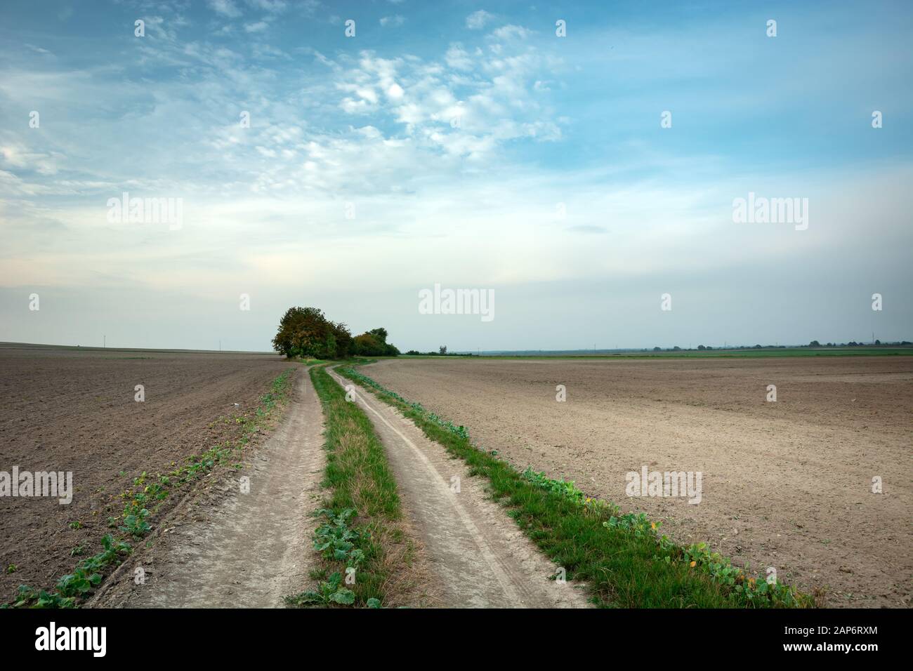 Strada sterrata attraverso campi arati, orizzonte e nuvole bianche sul cielo Foto Stock