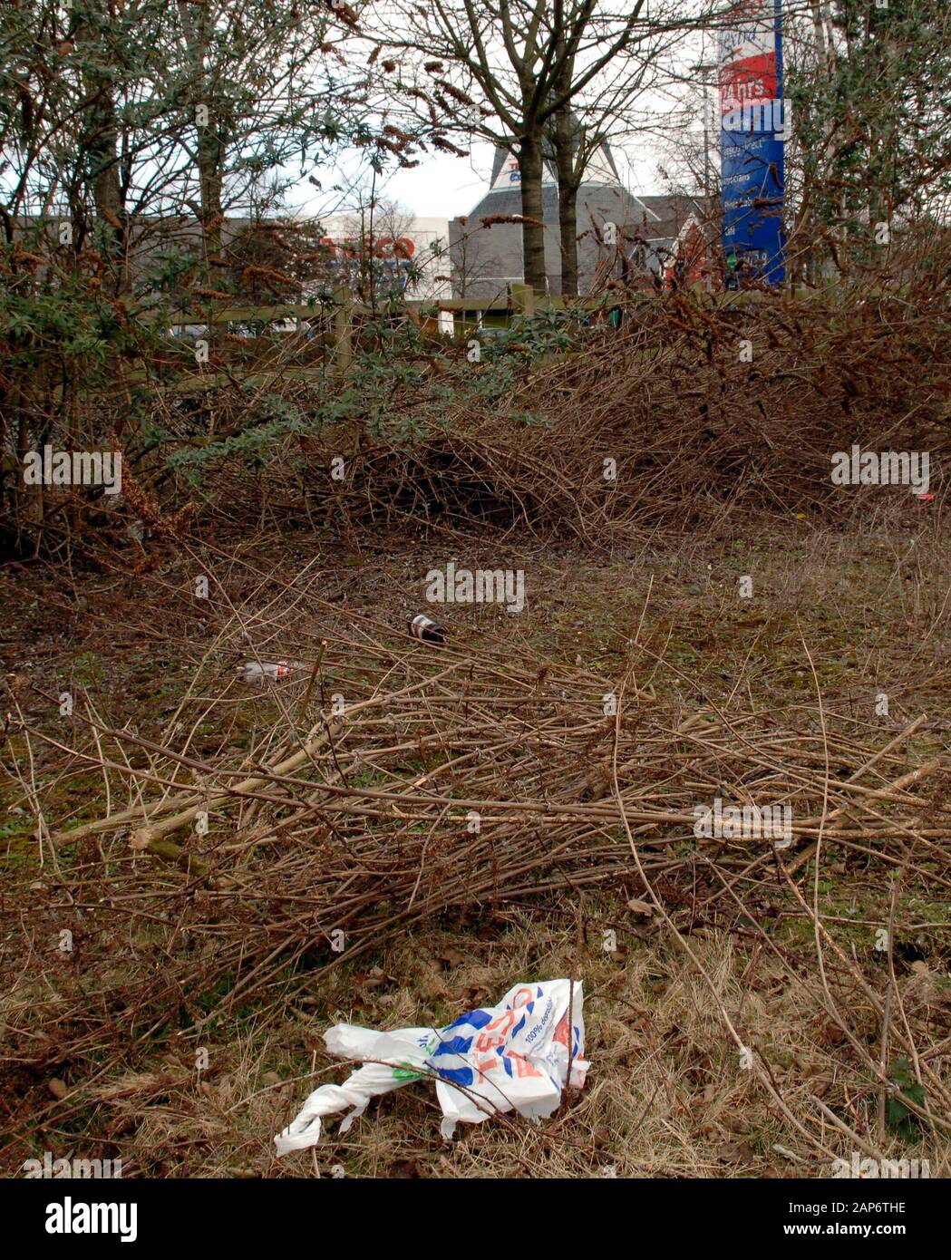 Sacchetti di plastica scaricati al supermercato Tesco dal fiume Tamigi in Lettura nel 2008 in mezzo a piani per ridurre la fornitura gratuita di borse usa e getta emessi dai supermercati. Foto Stock