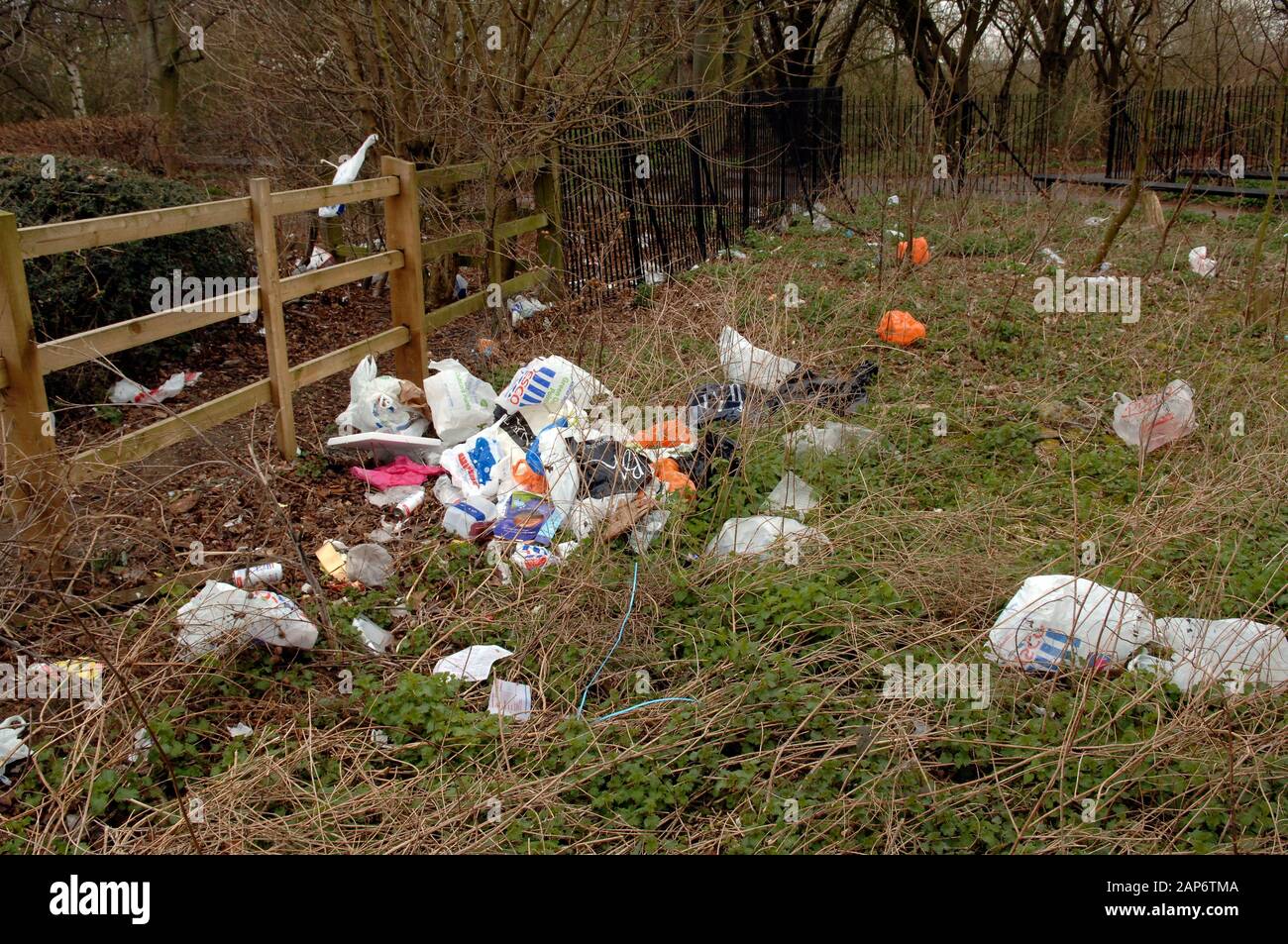 Sacchetti di plastica scaricati al supermercato Tesco dal fiume Tamigi in Lettura nel 2008 in mezzo a piani per ridurre la fornitura gratuita di borse usa e getta emessi dai supermercati. Foto Stock