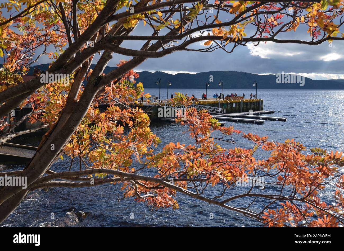 Autunno colori fogliame in Sainte-Rose-du-Nord, provincia di Quebec, CANADA. Foto Stock