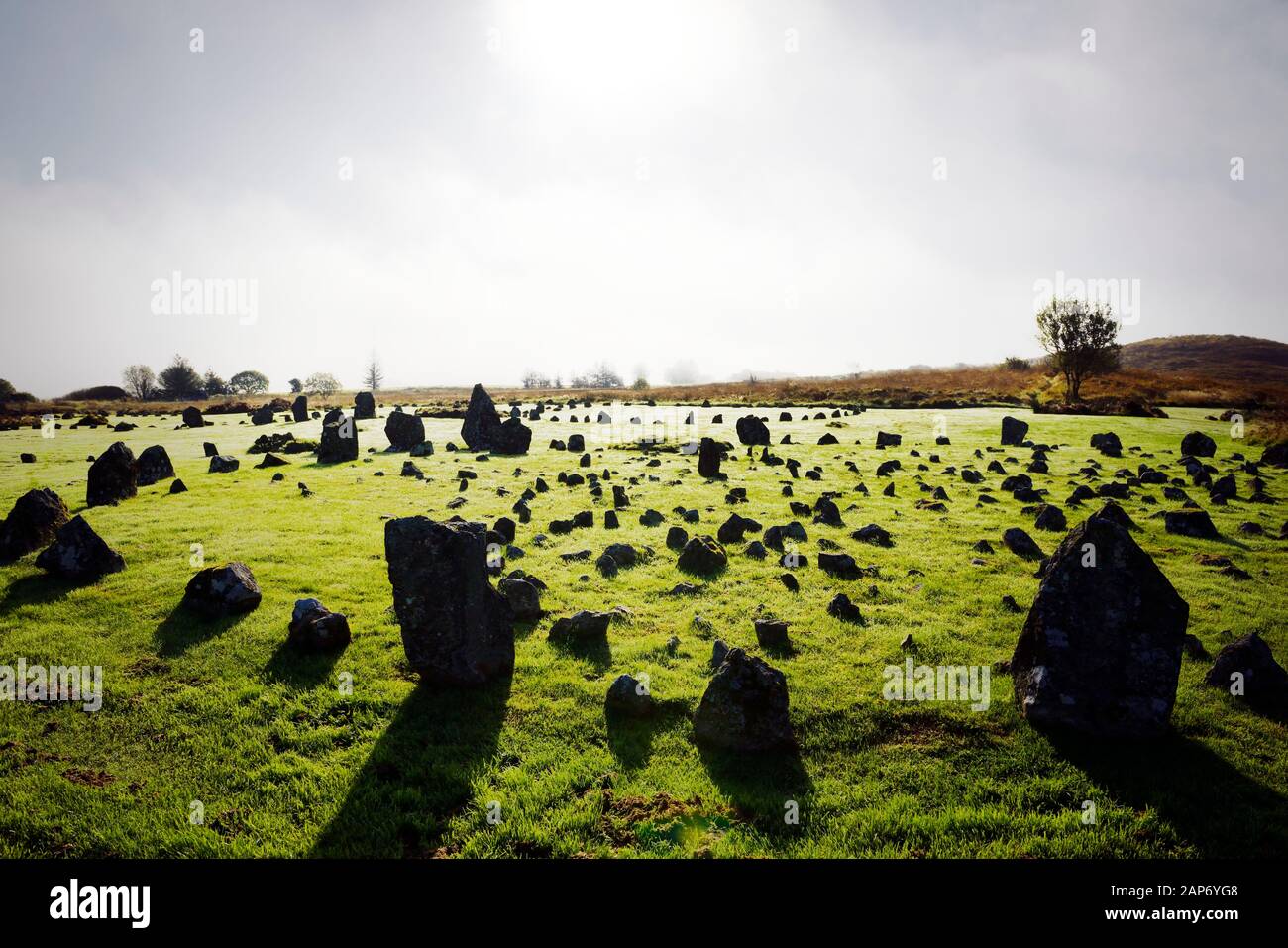 Beaghmore pietra Cerchi Neolitico e Bronzo sito rituale età. Co. Tyrone, N. Irlanda. S.E. più di 800 pietre di Dragons Denti cerchio e al cerchio D Foto Stock