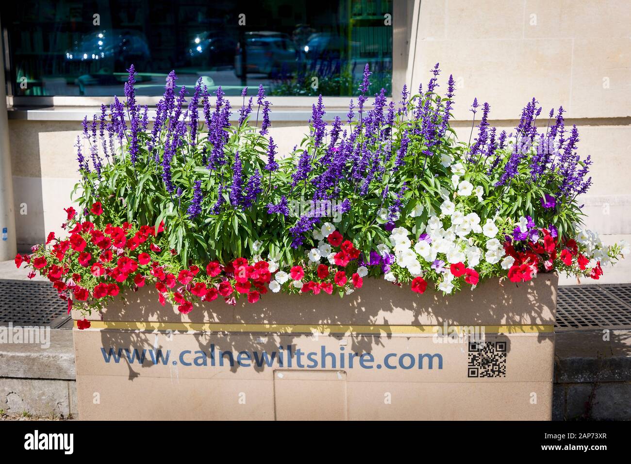 Il bianco rosso e il blu è il tema di colore di questa esposizione floreale efficace nel centro di Calne in Wiltshire Inghilterra Regno Unito Foto Stock