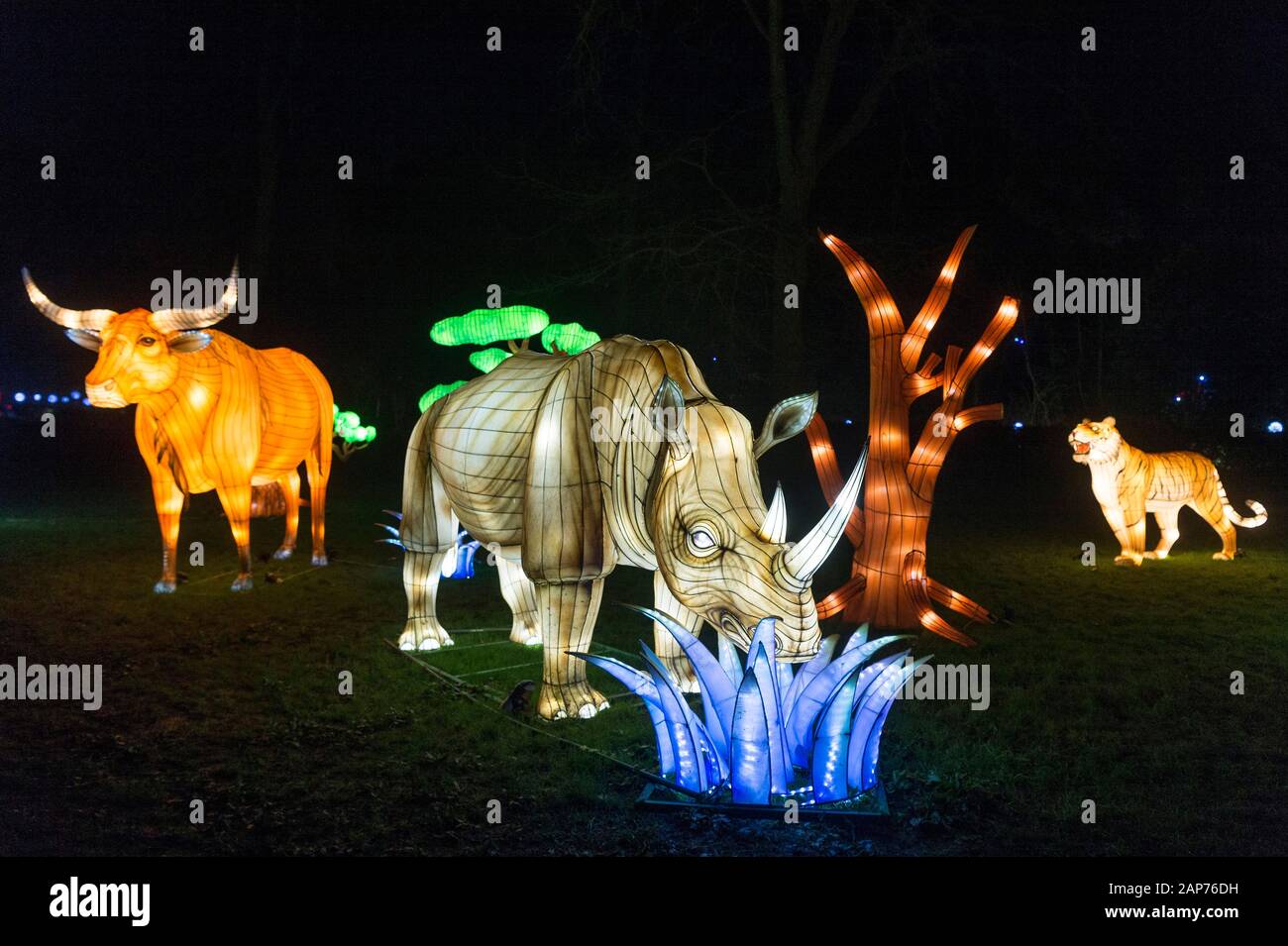 Lightopia Festival A Chiswick House Gardens, Londra, Regno Unito - 21 Gennaio 2020 Foto Stock