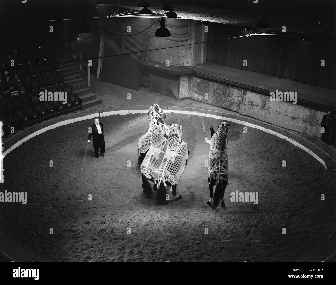 Circus Strassburger. Cavallo Dressage Data: 22 dicembre 1948 Parole chiave: circhi, animali, dressage, cavalli nome personale: Circo Strassburger Foto Stock