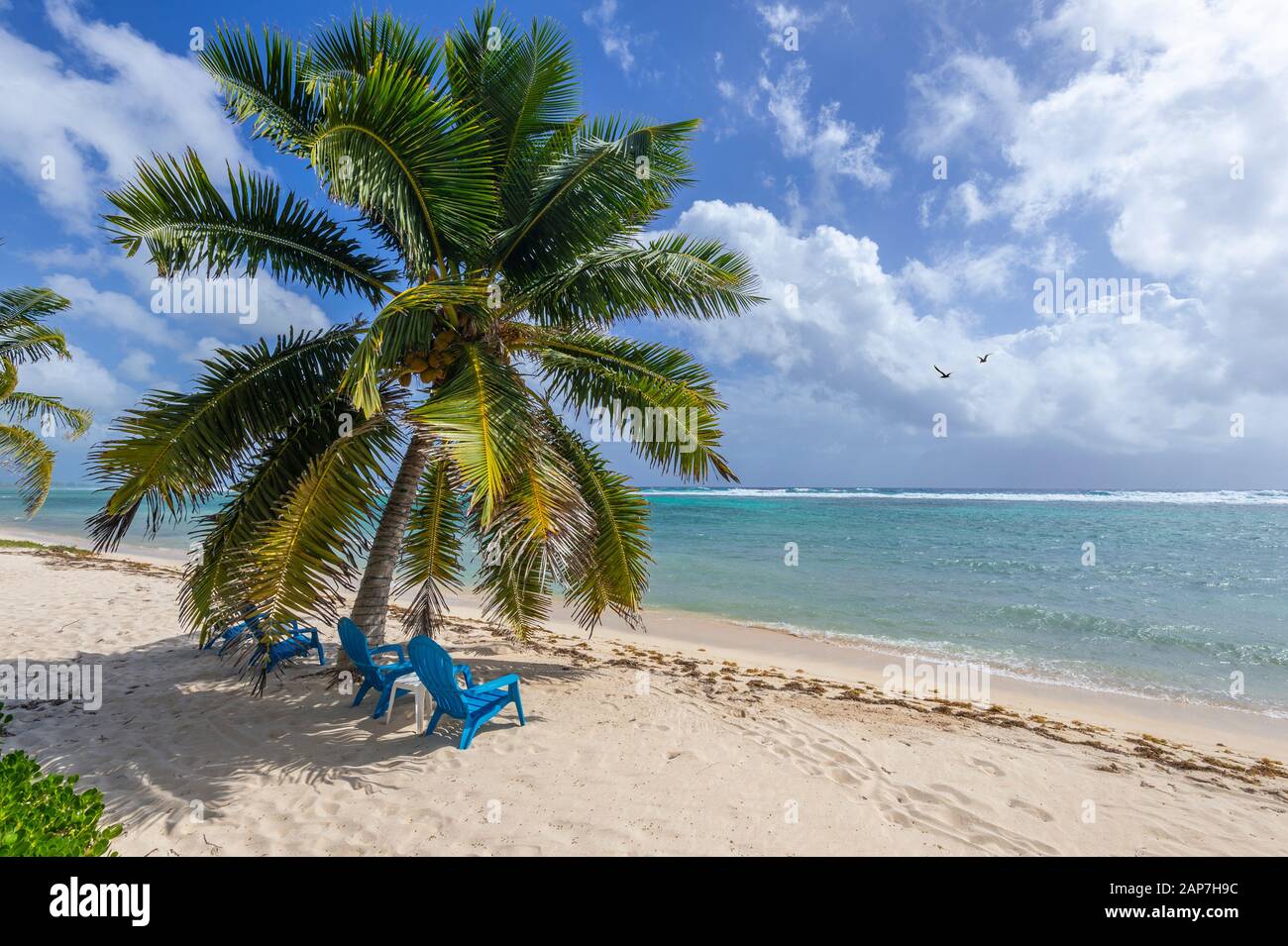 Sedie da spiaggia sulla spiaggia con palme Foto Stock