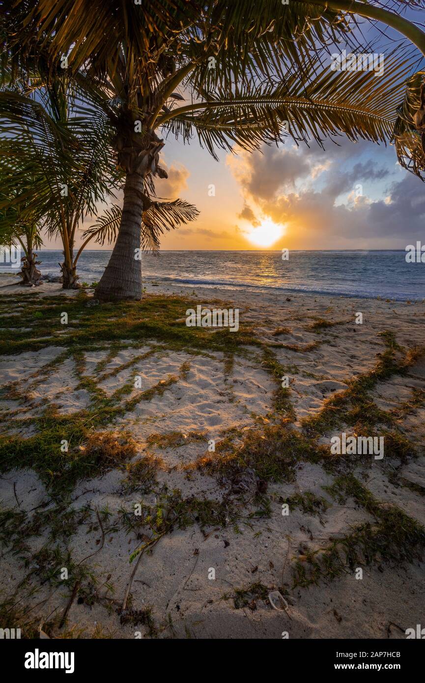 Palme e spiaggia sabbiosa all'alba, perfetta posizione tropicale, Grand Cayman Island Foto Stock