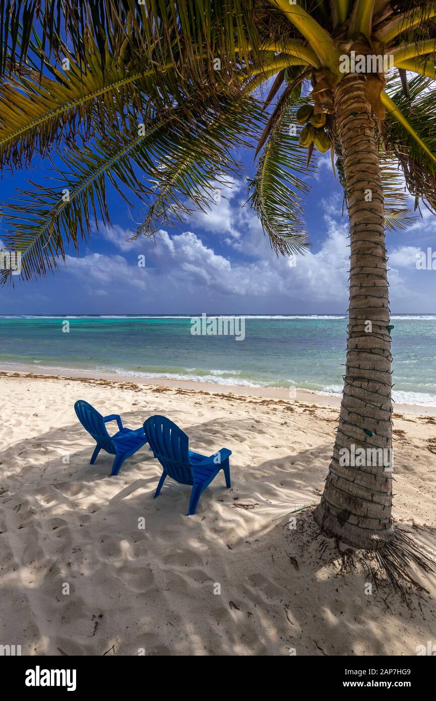 Sedie da spiaggia sulla spiaggia perfetta con palme Foto Stock