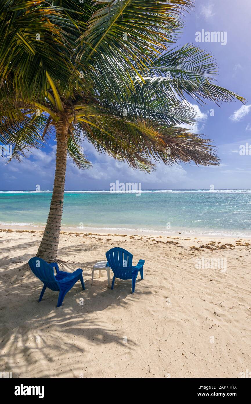 Sedie da spiaggia sulla spiaggia perfetta con palme Foto Stock