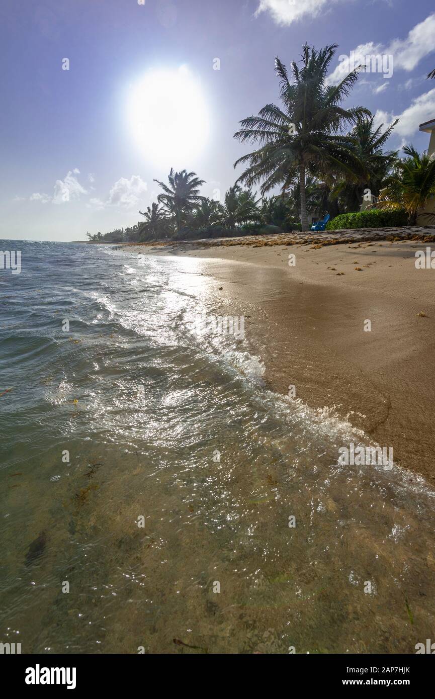 Onde dolci che rotolano sulla riva, isola di Grand Cayman Foto Stock
