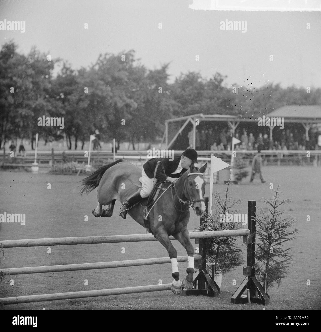 Il Concours Hippique in Sportpark Rightersbleekte Enschede de tedesco Ute Richter è sceso a cavallo Scholli Data: 22 giugno 1963 Location: Enschede Parole chiave: concorsi, sport parchi Foto Stock