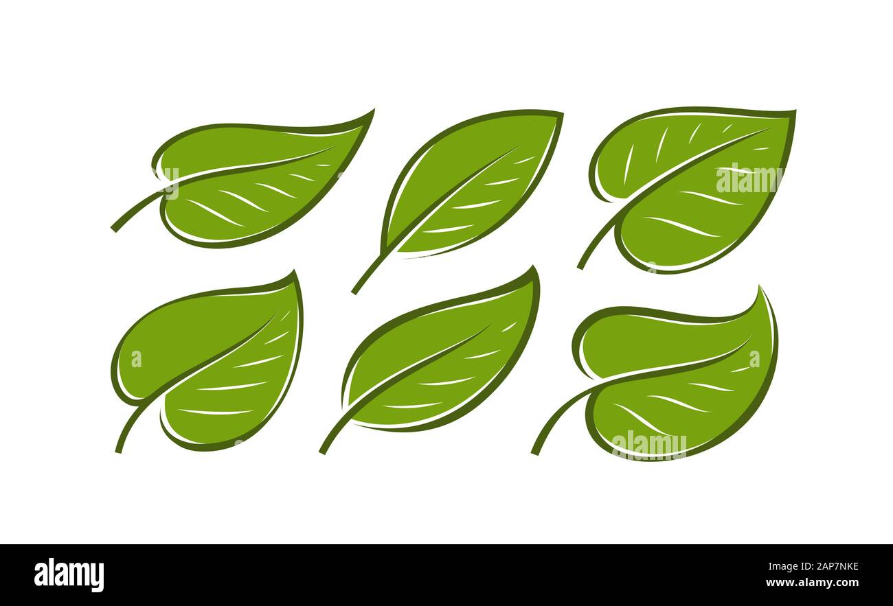 Astratto verde foglia logo. Simbolo della natura o icona vettore Illustrazione Vettoriale