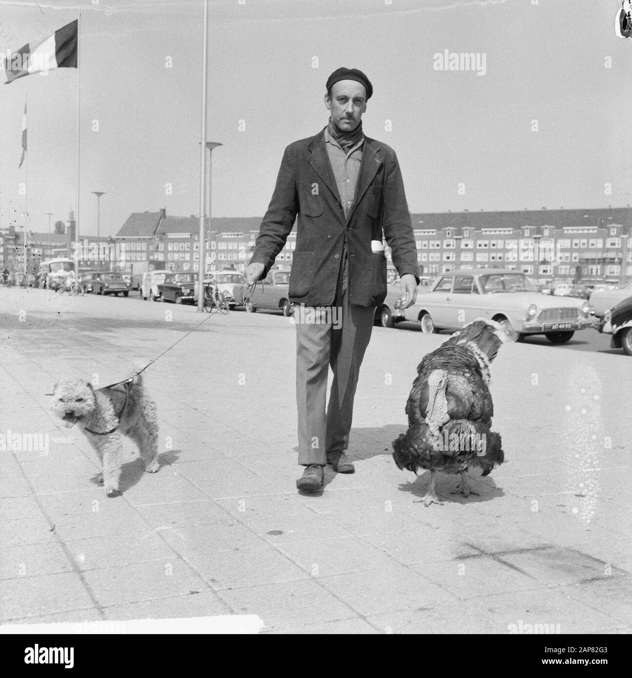 Voitus con cane e turchia sulla strada Data: 13 maggio 1965 Parole Chiave: Animali, cani, tacchini, uomini Nome personale: Voitus Foto Stock