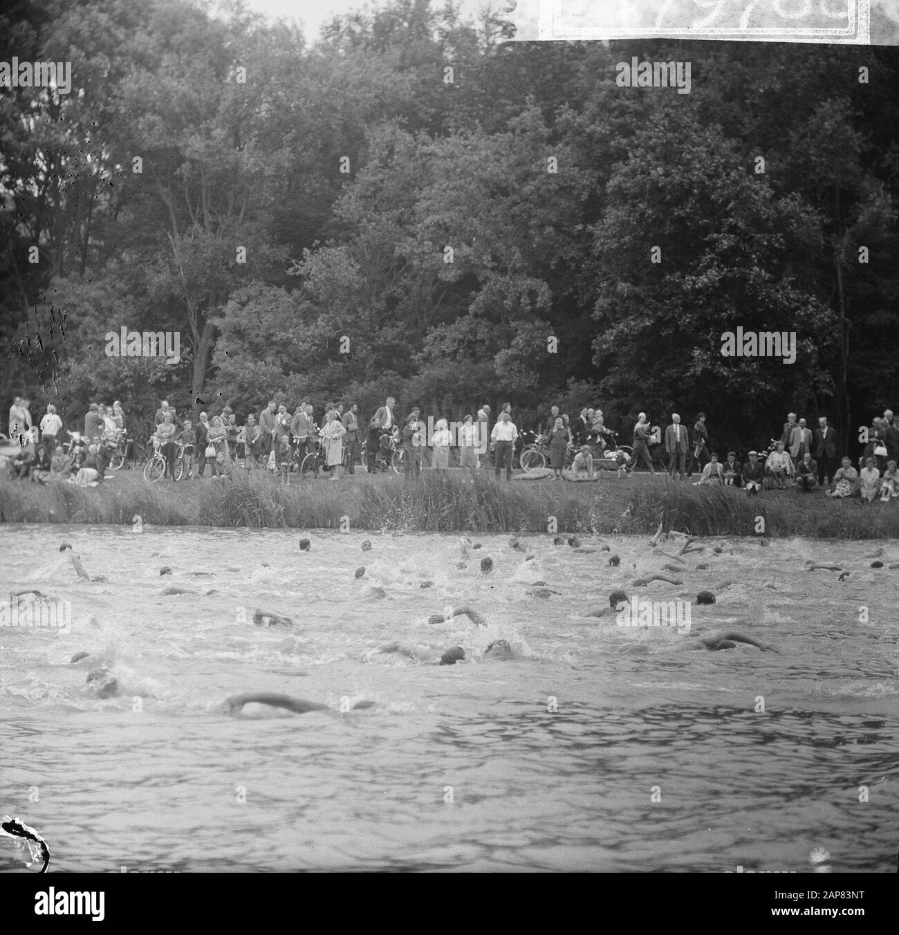 Bosbaan swimparty, inizio dei due chilometri uomini freestyle, panoramica Data: 18 Luglio 1965 Località: Amsterdam, Amstadamse Bos, Babbaan, Noord-Holland Parole Chiave: Nuoto Foto Stock