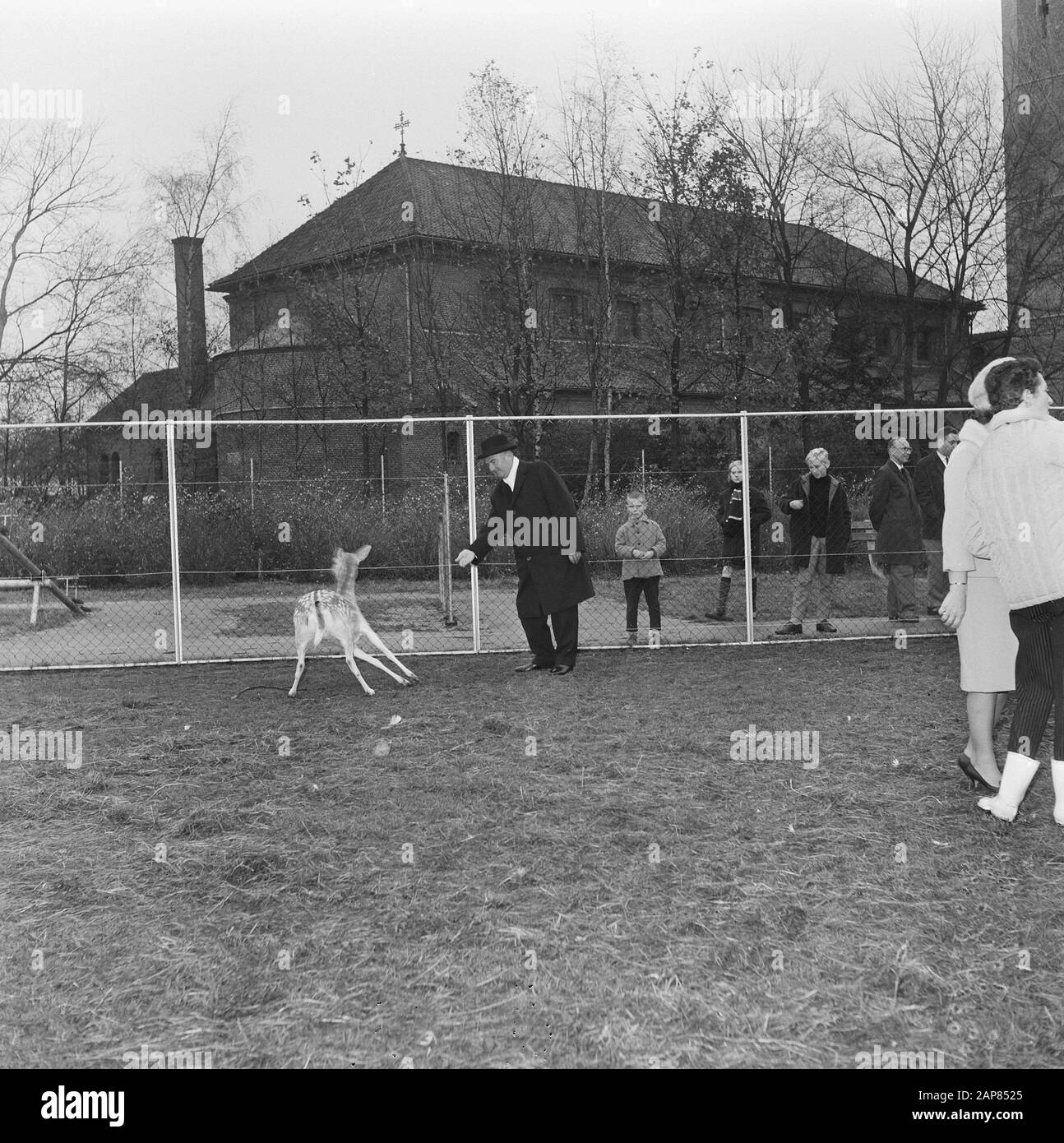 Shipbuilder Cornelis Verolme al suo appuntamento come cittadino onorario di Heusden Descrizione: MR. Verolme mentre porta il cervo offerto a lui Data: 11 Novembre 1965 Località: Heusden, Noord-Brabant Parole Chiave: Cittadinanza onoraria, regali Nome personale: Verolme, Cornelis Foto Stock