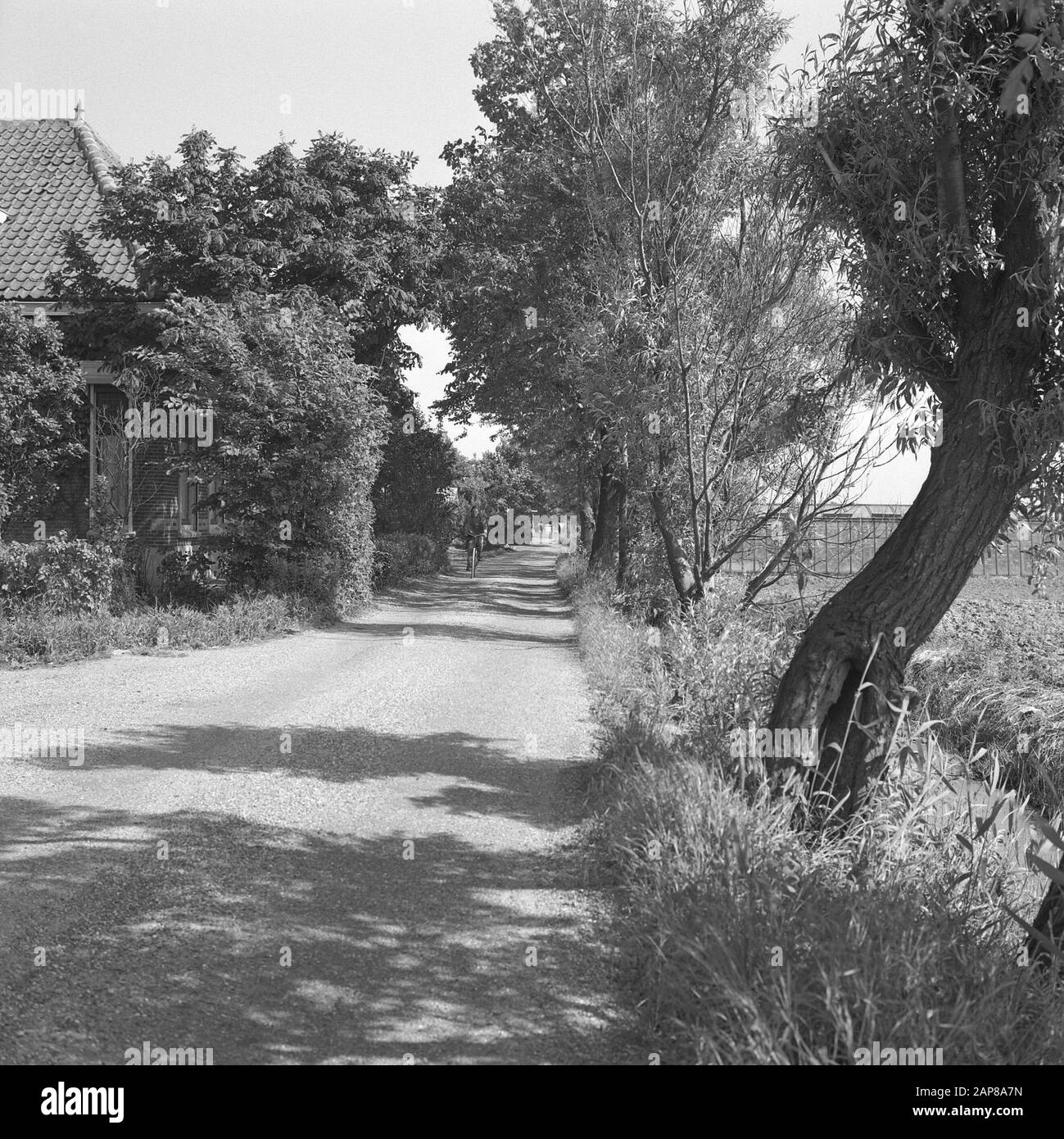 Costruzione e miglioramento di strade, dighe e bacini di risparmio, strati penetrati, alberi, case, barelle Data: 1965 luogo: Honselersdijk Parole Chiave: Costruzione e miglioramento di strade, alberi, dighe e bacini di risparmio, strati penetrati di diffusione, case Nome personale: Treccia di guerra Foto Stock