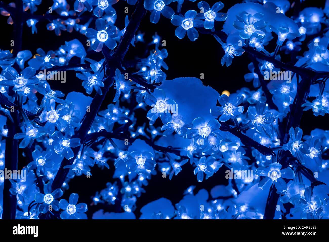 luci artificiali di fiori di garland elettrico con un bagliore bluastro su rami di alberi artificiali su sfondo nero Foto Stock