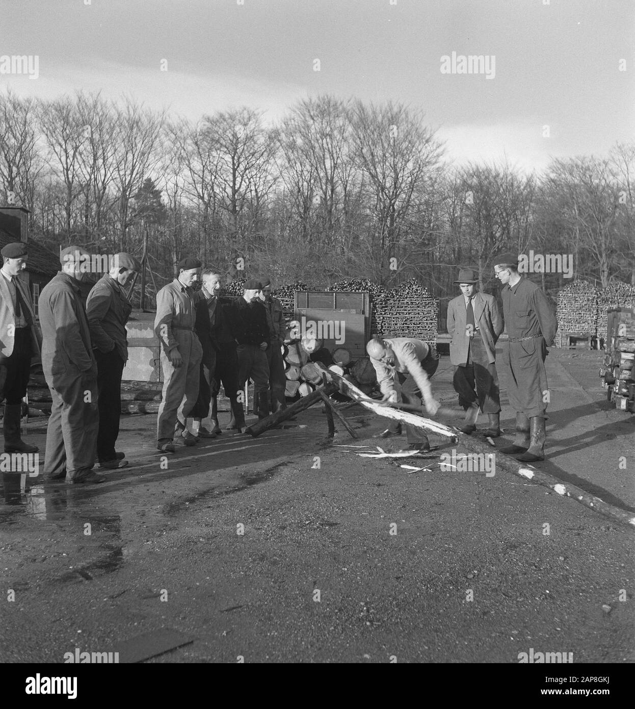 Lavoratori, lavorazione del legno, negozi di legno Data: Parole Chiave non date: Operai, Falegnameria, deposito di legno Foto Stock