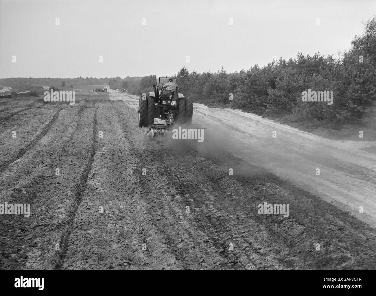 Foresta e brughiera Data: Parole Chiave non date: Fuoco della foresta, ignifuga, dischi, danni da tempesta, trattori Foto Stock