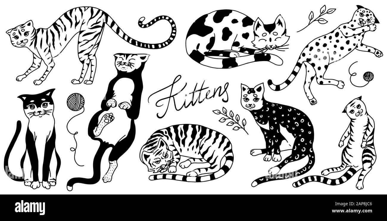 Collezione di gatti. Lavare, giocare e dormire animali. Carino divertente gattino Domestico. Disegno inciso a mano per banner o t-shirt. Monocromatico Illustrazione Vettoriale