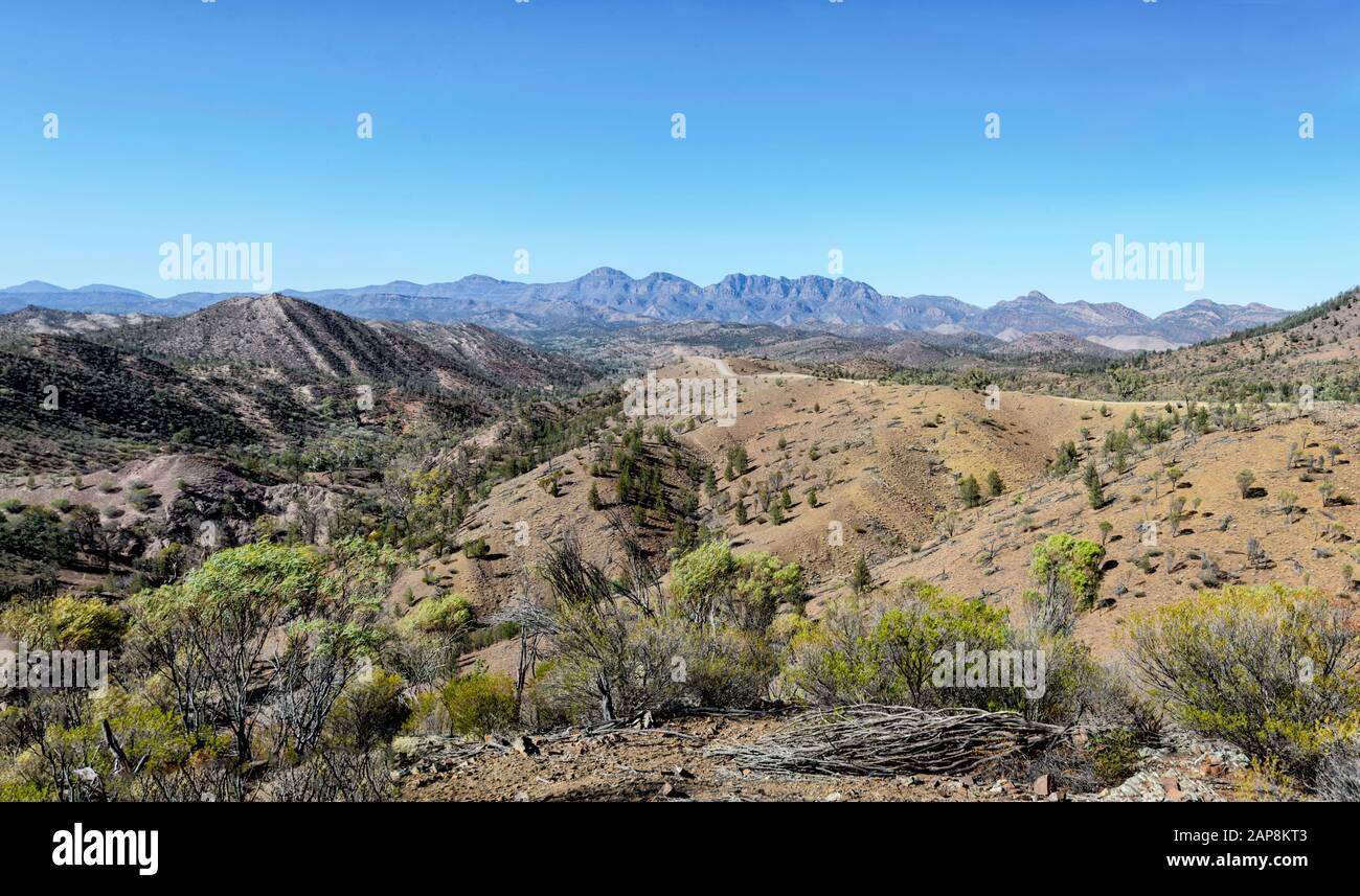 Vista Panoramica Del Razorback, Bunyeroo Gorge, Ikara-Flinders Ranges National Park, Australia Meridionale, Australia Foto Stock