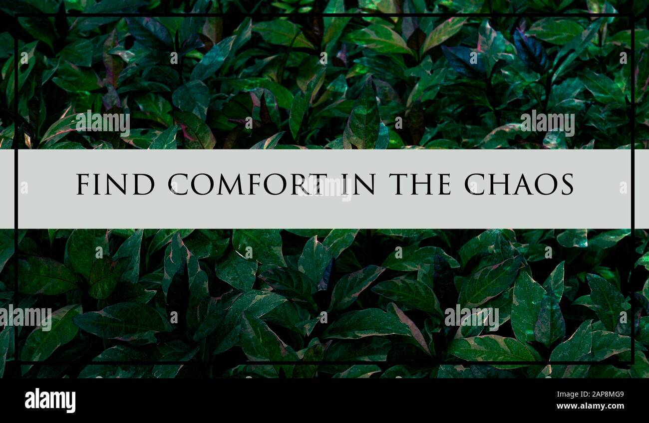 design con logo alfabetico Foto Stock