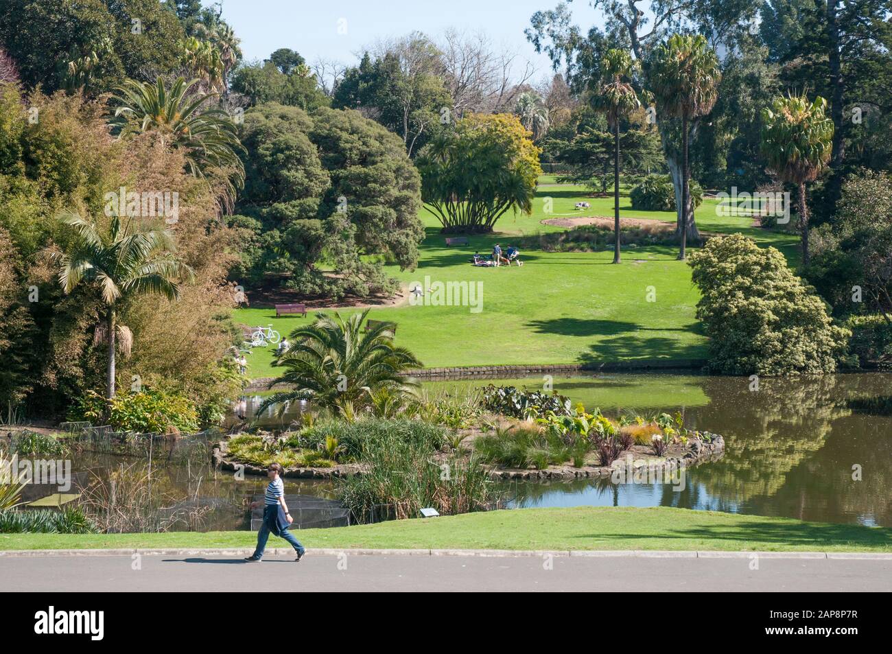 Uno stroller nei Giardini Botanici reali, Melbourne, Australia Foto Stock