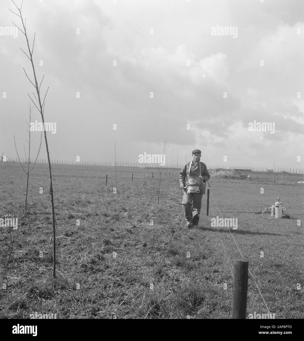 Lavoratori, praterie, arbusti, lavoro Data: Parole Chiave dense: Lavoratori, praterie, arbusti, opere Foto Stock